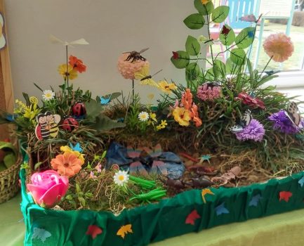 Călătorie în lumea insectelor